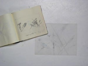 Sketchbook and drawing